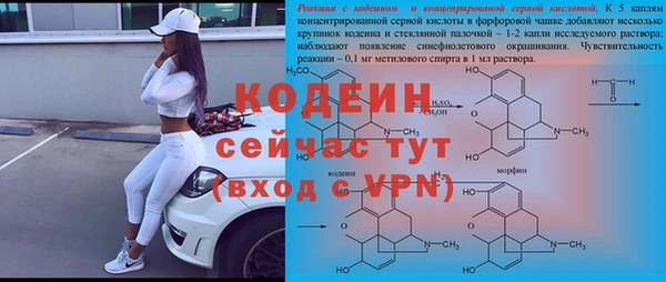 индика Мегион