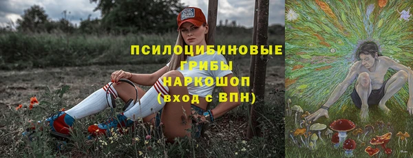 герыч Алексин