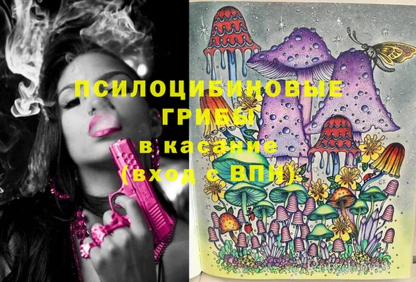 круглые Алзамай