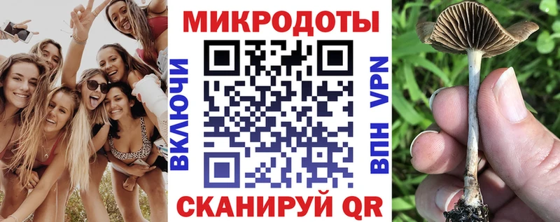 сколько стоит  Цимлянск  Псилоцибиновые грибы мицелий 